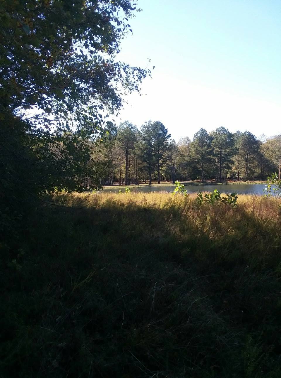 Location 5